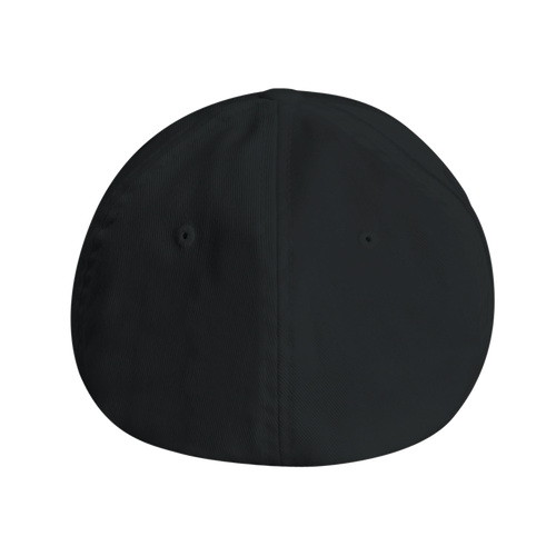 Back view of plain black cap with no visible logos or text — showcasing clean design, reinforced stitching, and minimalist aesthetic for silent statement wear.